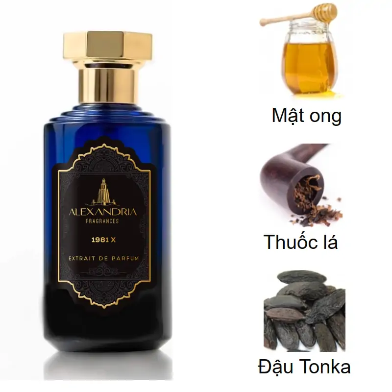 Hương đầu: Mật ong, Đậu Tonka, Thuốc lá cay; Hương giữa: Hoa oải hương, Quế, Vani; Hương cuối: Cashmeran, Hoa lài Sambac, Cam chanh.